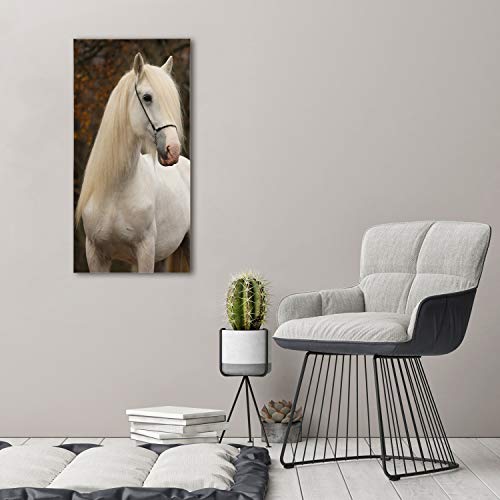 Image sur verre panoramique 50x100 cm tableau cheval blanc