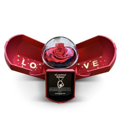 Ahnona Jahrestag Geschenk für Sie - Freundin Geschenk, Echte Ewige Rose, Weihnachtsgeschenke für Sie, Ich Liebe Dich Geschenke für Frauen, Lieblingsmensch, Herz Kette für...