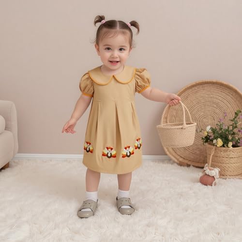 Toddler Baby Girl Thanksgiving Outfit Turkey Embroidery Short Sleeve Peter Pan Collar Smocked Dress Infant Clothes3
