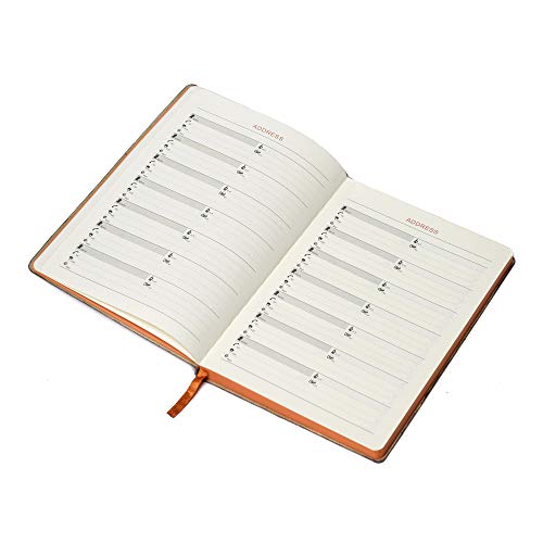 Image of COI Diary Brown A5 Notebook - Unique Multipurpose Stationery, New Year Diary for Office Going Men and Women with Pen.