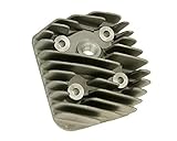 Herkules squab 50 s1 a03 Cilindro de Naraku 50 CCM para Peugeot, Buxy, ELYSEO, Elystar, Looxor, Speedake, New Viva de Actividades, Viva City, Speedfight 1, 2, Squab, Splinter, Tkr, Trekker, Zenith 50
