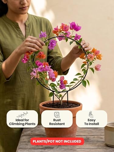 Image of Bombay Greens Round Metal Trellis Climbers Support Stake for Plants | Iron Garden Money Plant Climbers & Plant Support Stick | Rust Resistant Plant Support Ring for Indoor & Outdoor Garden - Pack of 2