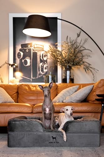 Image of NOAH & PAW Large Dog Bed, 35x25x11 Inch, Orthopedic Dog Beds, Eggshell Memory Foam Infused with Cooling Gel, Inner Cover, Water Resistant, Machine Washable (Velvet Sofa Collection)