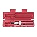 Stanley Proto J6104A 1/4" Drive Torque Screwdriver, 4-Percent