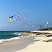 Prism Kite Technology Quantum 2.0 Spectrum Dual-line Stunt Kite