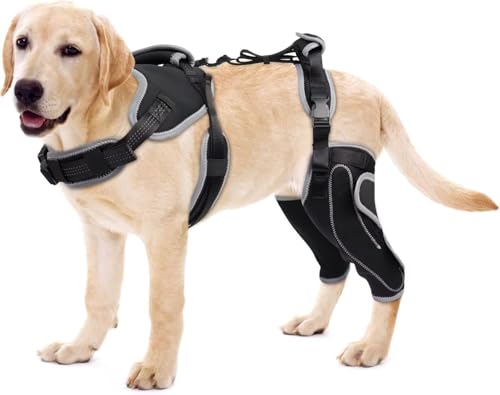 Image of Dog ACL Knee Brace for Torn ACL & Luxating Patella-Adjustable Leg Support with Sufficient Wrapping and Support, Non-Slip Joint Brace for Dogs, Pain Relief & Better Recovery-Both Leg-XL