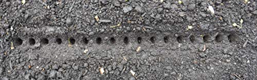 Herramienta para Jardín para Plantar Semillas miniatura 4