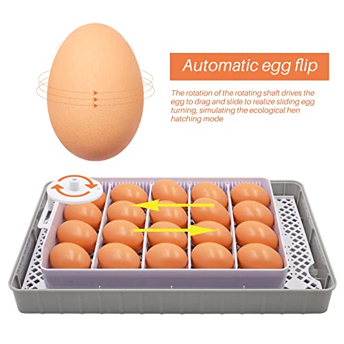 Brutmaschine Vollautomatisch 20 eggs incubator Intelligenter digitaler Inkubator mit LED Temperaturanzeige und… – Bild 7