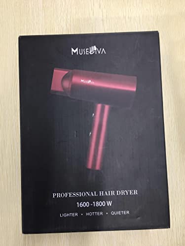 Asciugacapelli Ionico Leggero Professionale - Phon...