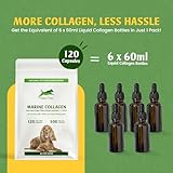 Animal Active Marine Collagen for Dogs, Supports Dry and Itchy Skin, Shiny Coat & Healthy Gums, Premium Micronised Collagen Peptides, Skin Health Dog Supplement, 120 x 500mg Open & Sprinkle Capsules - Image 2