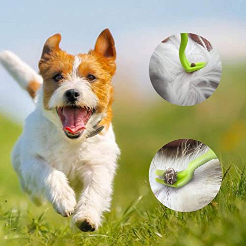 NatureAqua Zeckenzange, Zeckenhaken Zeckenentferner für Hund, Katze, Pferd & Menschen | 3er Set Zeckenhebe l Verschiedene Haken für alle Zecken-Größen | Schonende Zeckenentfernung in Sekunden | Grün