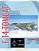 F-14 Tomcat Pilot's Flight Operating Manual Vol. 2