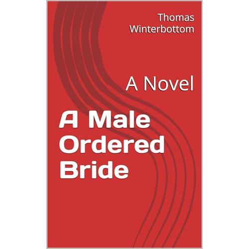 A Male Ordered Bride Audiolibro Por Thomas Winterbottom arte de portada