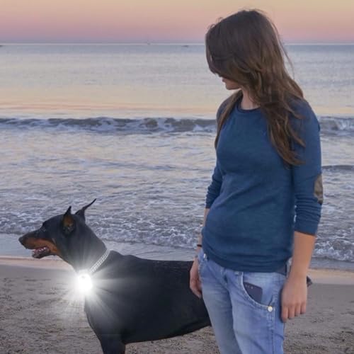 2 Stück LED Clip Lampe Outdoor, LED Stirnlampe mit 3 Lichtmodi USB Wiederaufladbar Nacht LED Lauflichter Klein Taschenlampe Sicherheitslicht für Wandern Camping Laufen Jogger Rucksack Angeln Kletter