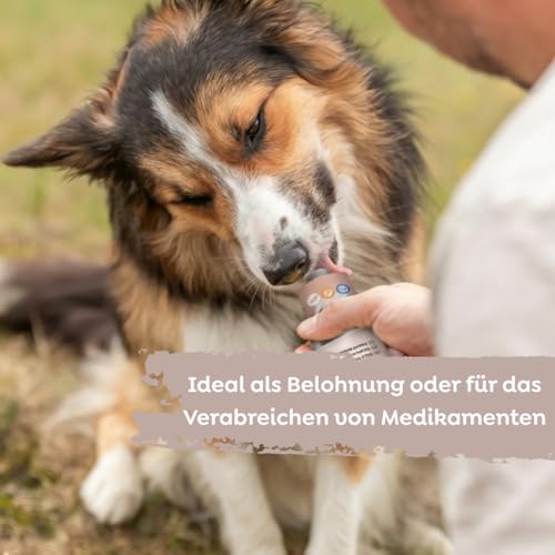 TRIXIE Hundeleckerli PREMIO Hunde-Leberwurst 110g - Premium Leckerlis für Hunde glutenfrei - ohne Getreide & Zucker, schmackhafte Belohnung für Training & Zuhause - 3176