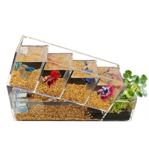 Emidor 小型水槽、水交換不要、自動循環ろ過、ウォーターポンプ付き、アクリル、マルチグリッド隔離、ベタ魚水槽キット (透明です)