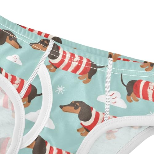 Wusikd Dachshund Dogs Boys' Underwear Cotton Red Boys Briefs Soft Toddler Underwear 2T4