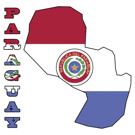 Interrupteur double bascule Paraguay : plaque murale décorative 3dRose