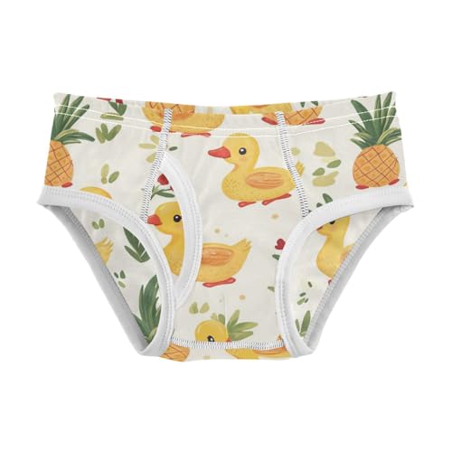 Wusikd Ducks Pineapplef Boys' Underwear Cotton Cute Boys Briefs Soft Toddler Underwear 2T