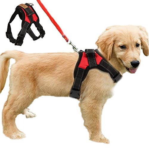 Funkeen Hundegeschirr ohne Ziehen, verstellbar, weich gepolstert, Brustgurt für Outdoor-Spaziergänge, Trainingshilfe (S, Rot)