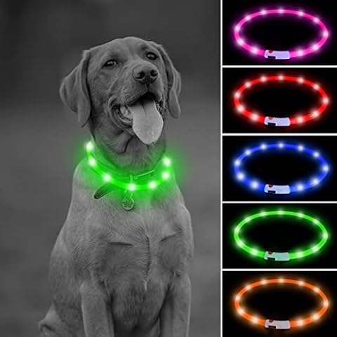 Illumifun LED Dog Necklace, USB Rechargeable Light Up Dog Collars, Flahing Dog Collar Light for Your Dogs Glow in The Dark (Green-Silicone) Cover