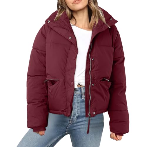 Chaqueta acolchada para mujer, chaquetas corta de invierno, cálida, acolchada, gruesa, chaqueta de plumón, a la moda, recortada con cremallera, cuello alto, abrigo acolchado