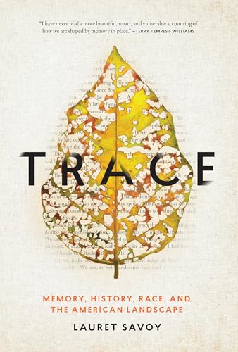 Trace view 2