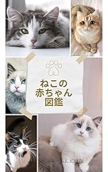 Amazon.co.jp: スコティッシュ フォールドの飼い方・しつけ方