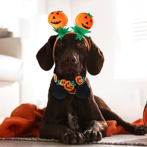 Disfraz Halloween para perro mediano 3 piezas miniatura 5