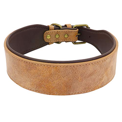 Collare largo in pelle for cani, collare imbottito for cani di taglia media e grande, Pitbull, Bulldog, Pastore tedesco, taglia 2XL collare semistrozzo cane(2,XXL)