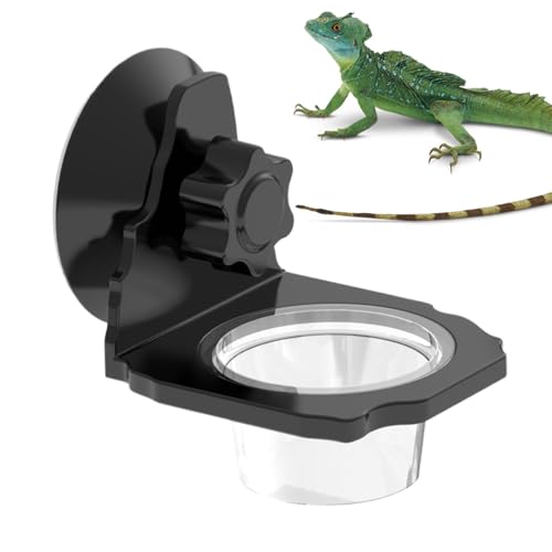 Gecko tB[fBObW | ঒ޗpt[hM zՕttB[_[ TVEEIgJQwrp | ^E{EgJQwrNp