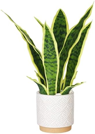 DUZYXI Artificial Snake Plant 16" with White Ceramic Pot Sansevieria Plant Fake Snake Plant Greenery Faux Snake Plant in Pot for Home Office Living Room Housewarming Gifts Indoor Outdoor Decor-Yellow