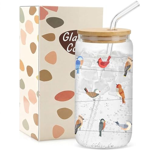 Mikopei Birds Watching Gifts for Women - Cool Gifts for Bird Lovers Watchers, Cute Nature on a Wire Glass Cups with Lids and Straws, Funny Iced Coffee Cup Smoothie, 16 oz