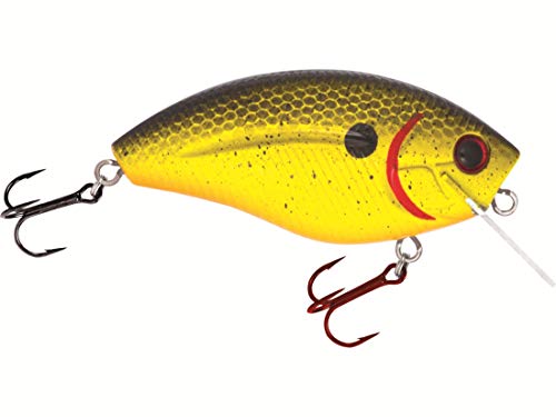 Team Livingston Series Howeller DMC SQ Chartreuse Splatter Shad