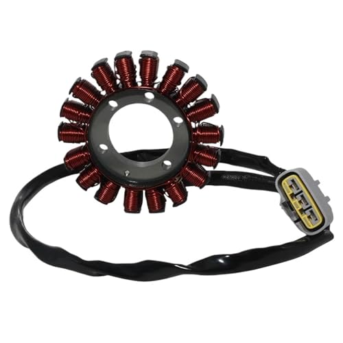 Stator d'allumage haute performance pour BMW S1000RR 2018-2020 et S1000XR