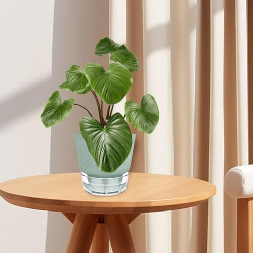 Pots de plante d'auto-arrosage 6 pouces pour éviter l'excès d'eau - 3