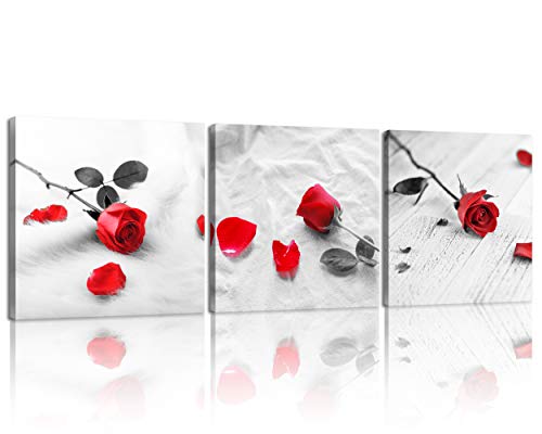 Nan Wind 3 Pcs Modern Canvas Painting Black And White Red Rose Canvas Art Painting Abstract Wall Art Decorations Flower Picture On Canvas For Home Decor Valentines Gift Stretched And Framed #TOP30