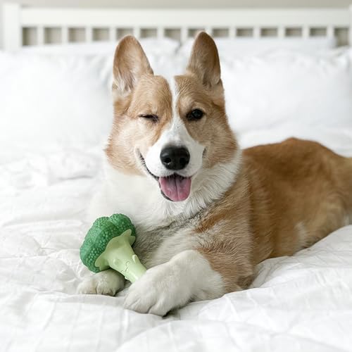 Nylabone Broccoli Power Chew Toy for Dogs, Dog Toys for Aggressive Chewers, Bacon & Cheese Flavor, Large Dogs - Up to 50 lbs, 1 Count - Image 3