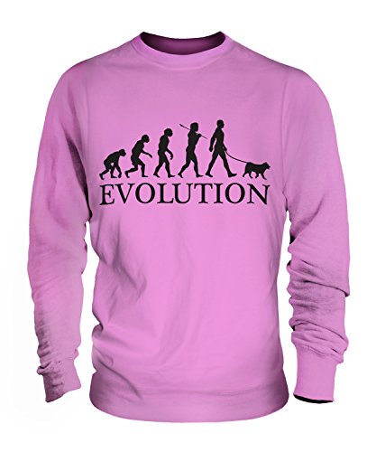 Sweat Chien d'Élan Norvégien Gris Évolution pull imprimé mode unisexe - 2
