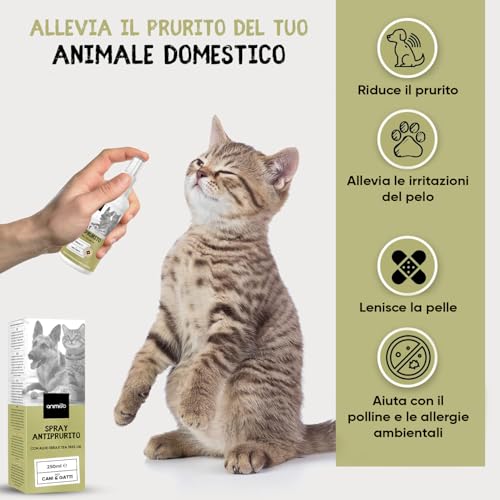 Spray Antiprurito per Dermatite Cane & Gatto 250ml - Rimedio Naturale per Prurito Cane e Gatto con Aloe Vera e Tea Tree Oil - Spray Antiprurito per Cani e Gatti Causato da Irritazioni ed Eruzioni - 2