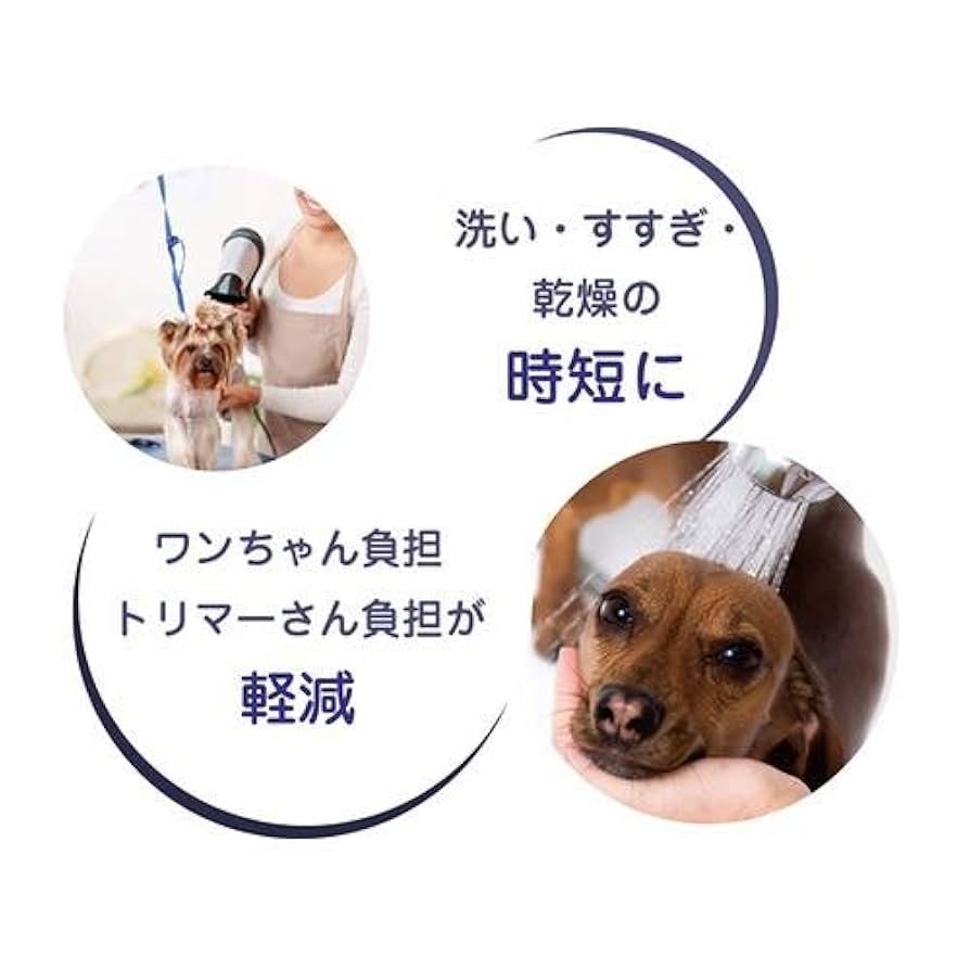 Amazon | QIX(キックス) ナノベイジングプロ 300ml | Tohoyard