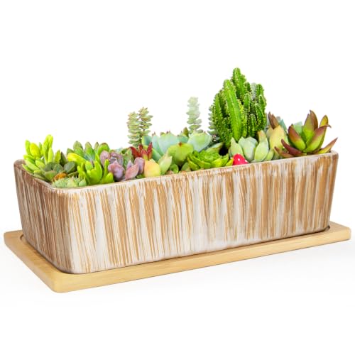 Succulent Pots, 12'' Long Rectangle Planters with Tray, Windowsill Planter
