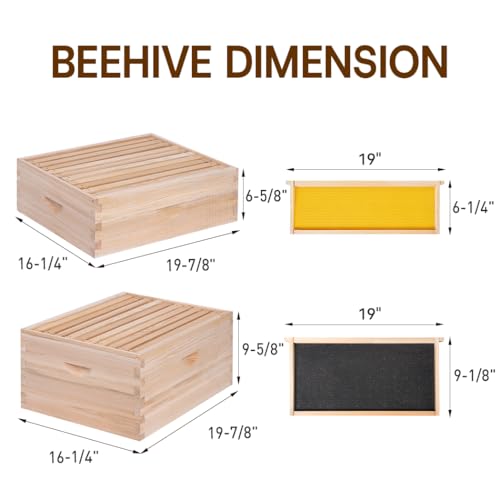 10 Frame Bee Hive, Compelte Bee Hive Starter Kit Includes 1 Deep Brood Honey Bee Hives Box, 1 Medium Super Bee Box with Beehive Frames and Foundation Sheets - Image 5