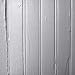 Beach Fossils
