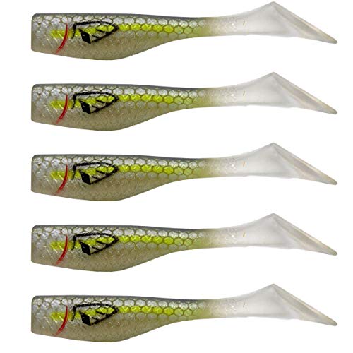 Our Selected Best Bait To Catch Speckled Trout For Your Need