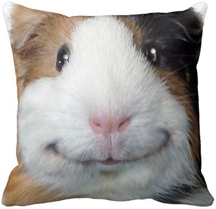 JuMei Smiling Guinea Pig Cotton Square Throw Pillow Case Cushion Cover 18 x 18