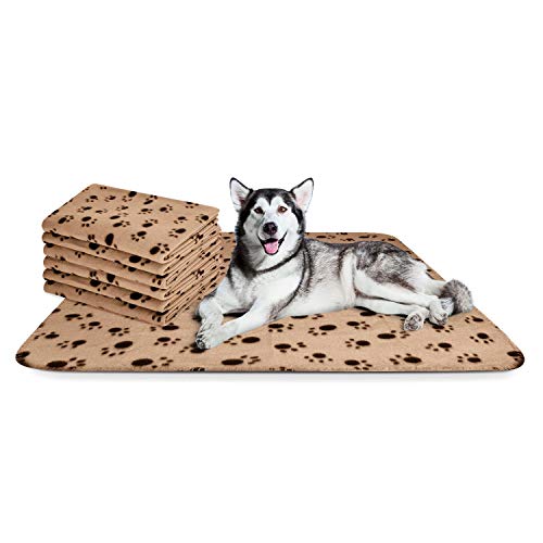 Nobleza - 6 x Large Washable Dog Blanket, Cat Fluffy Fleece Blanket, Puppy Soft Warm Mat, Beige, 160 * 100cm
