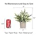 C APPOK Artificial Potted Plants Fake Eucalyptus Plant, Mini Plastic Green Grass with Pot, Faux Rosemary Plants for Home Decor, Indoor,Farmhouse decor,Table Decoration - 3 Pack, Flocking Green