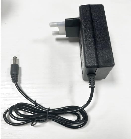 Chargeur de batterie 21V pour sécateur électrique sans fil et mini tronçonneuse 21 Volts