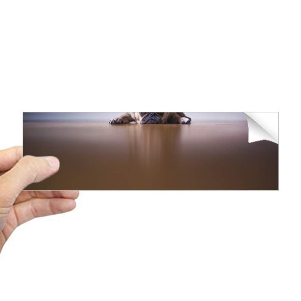 Sticker rectangulaire pour chambre de chien pour masquer les imperfections